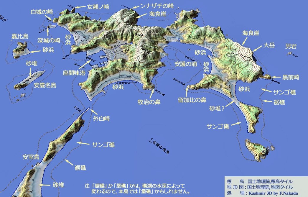 中村左洲　塩濱の図　大幅 日本の海に広がるマイクロプラスチック タラ オセアン ジャパンが海洋