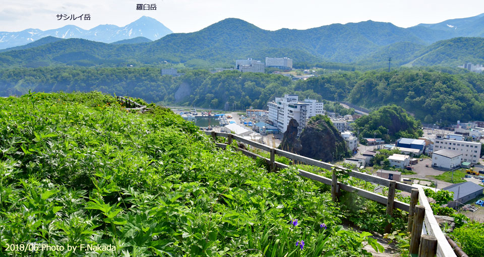 ゴジラ岩：日本の奇岩百景プラス